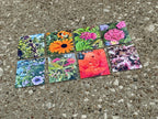 NEUROTIC CORE Photography - Sticker Packs!