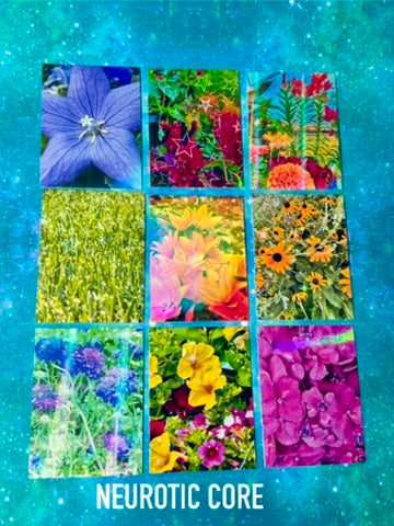 NEUROTIC CORE Photography - Sticker Packs!