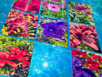 NEUROTIC CORE Photography - Sticker Packs!