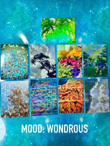NEUROTIC CORE Photography - Sticker Packs!