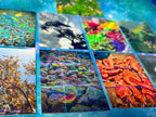 NEUROTIC CORE Photography - Sticker Packs!
