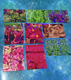 NEUROTIC CORE Photography - Sticker Packs!